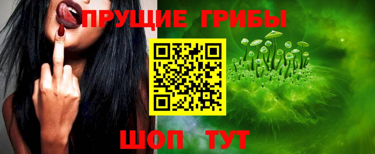 Галлюциногенные грибы GOLDEN TEACHER Бутурлиновка