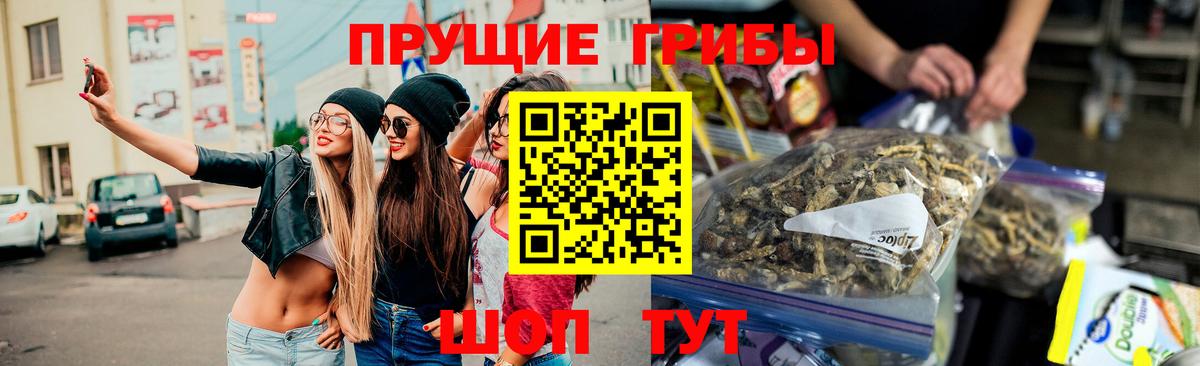 Бутурлиновка  Псилоцибиновые грибы Psilocybine cubensis  Вход с VPN 